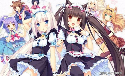 兩款藏品級的galgame,沒玩過還敢說自己是二次元